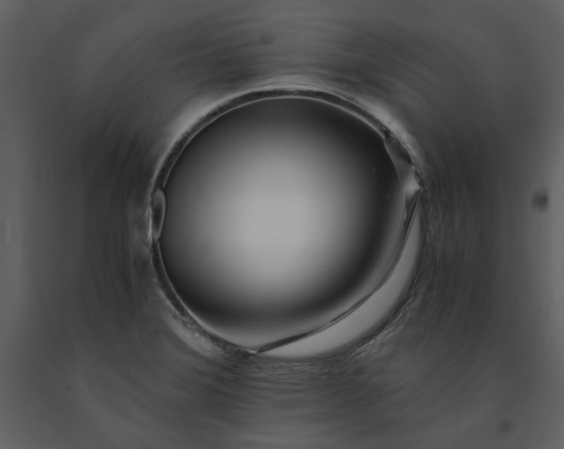 X0000091221372200708231621