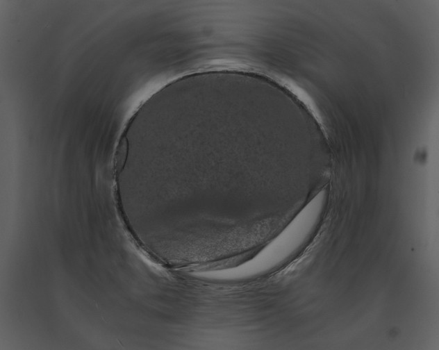 X0000091221373200708231621