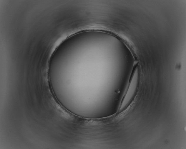 X0000091221374200708231621