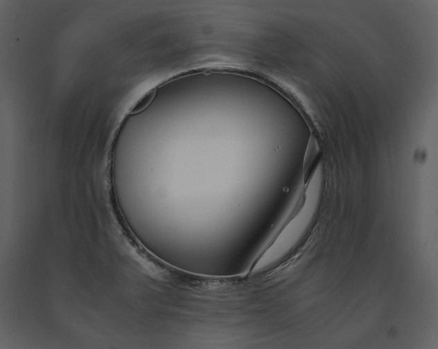 X0000091221375200708231621