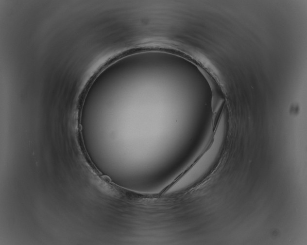 X0000091221376200708231621