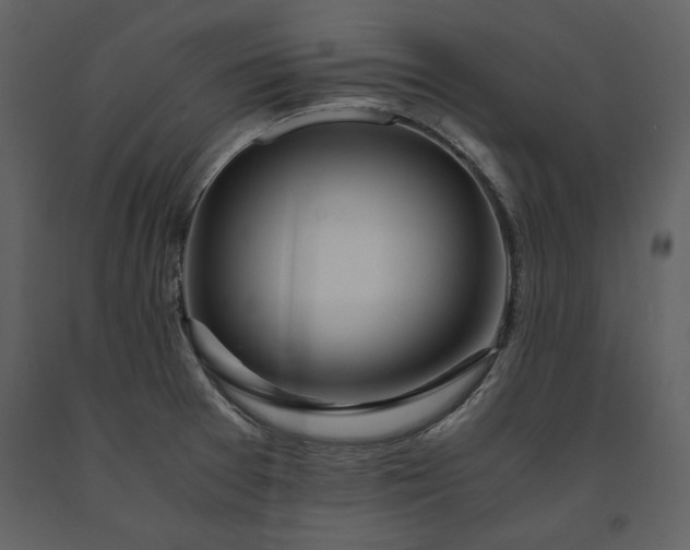 X0000091221377200708231621