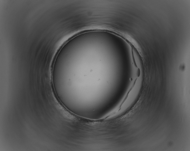 X0000091221380200708231621