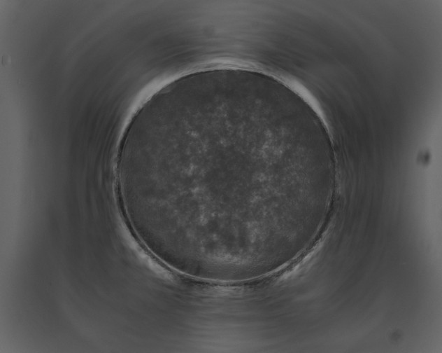 X0000091221381200708231621