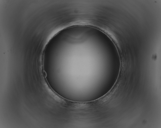 X0000091221382200708231621