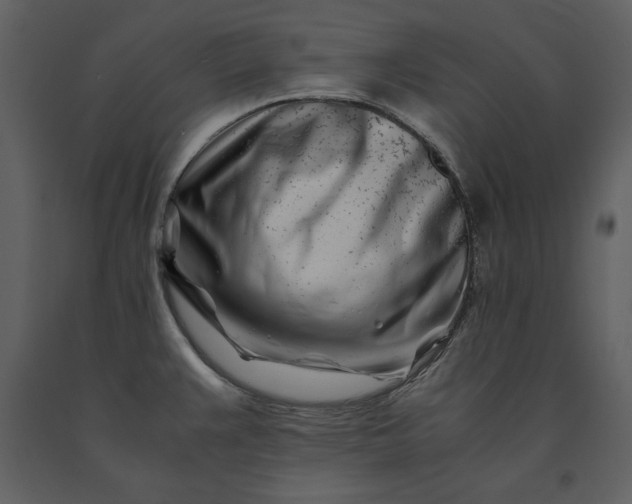 X0000091221383200708231621