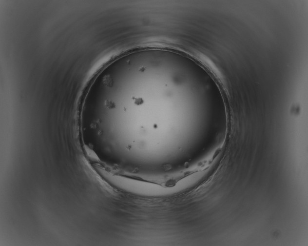 X0000091221384200708231621