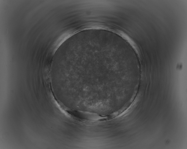 X0000091221385200708231621