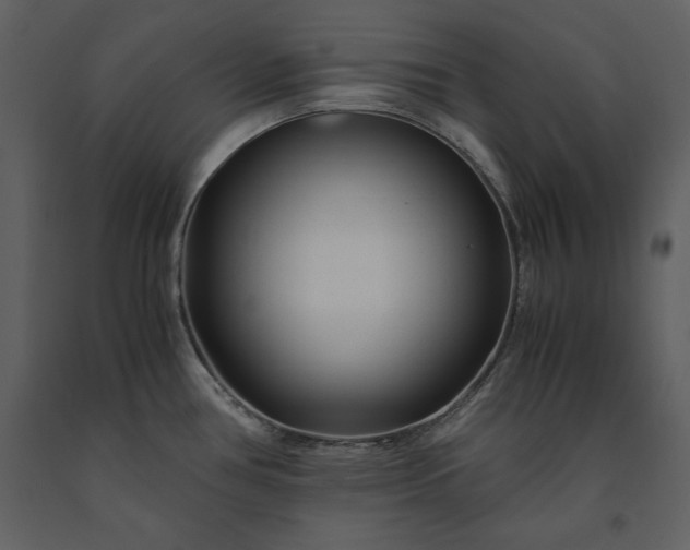 X0000091221386200708231621