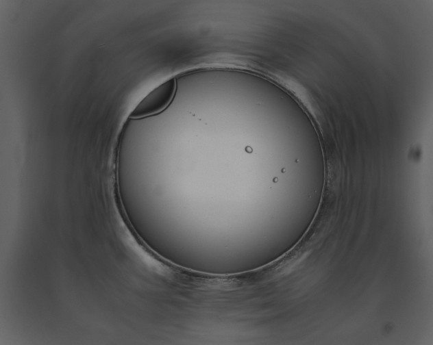 X0000091221387200708231621