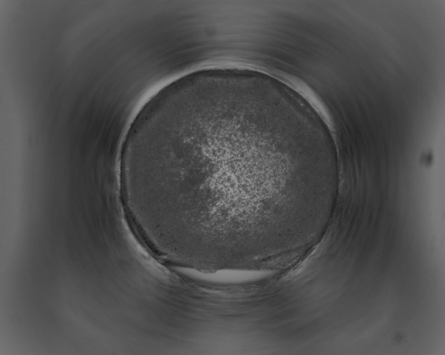 X0000091221388200708231621