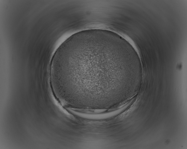 X0000091221389200708231621