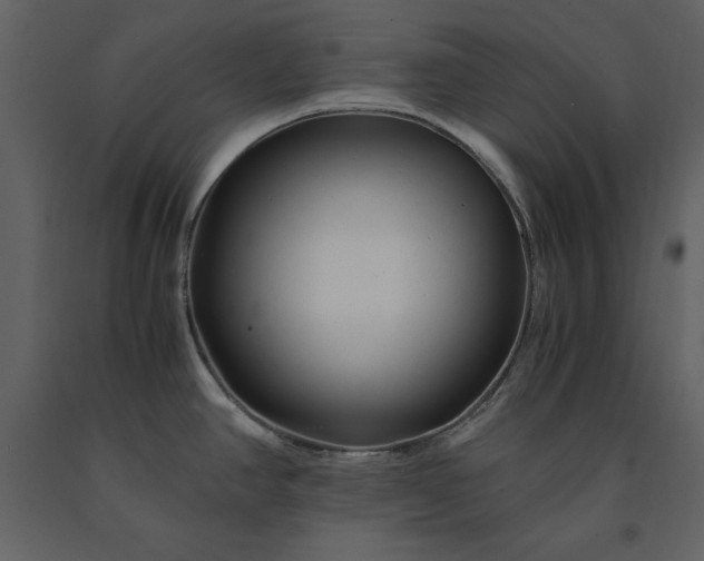 X0000091221390200708231620