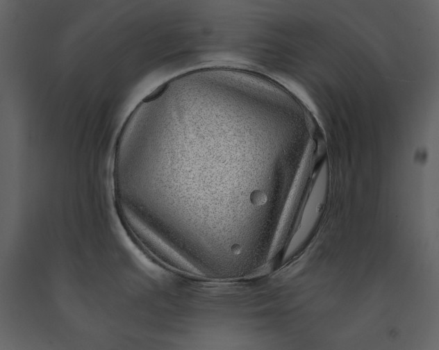 X0000091221391200708231620