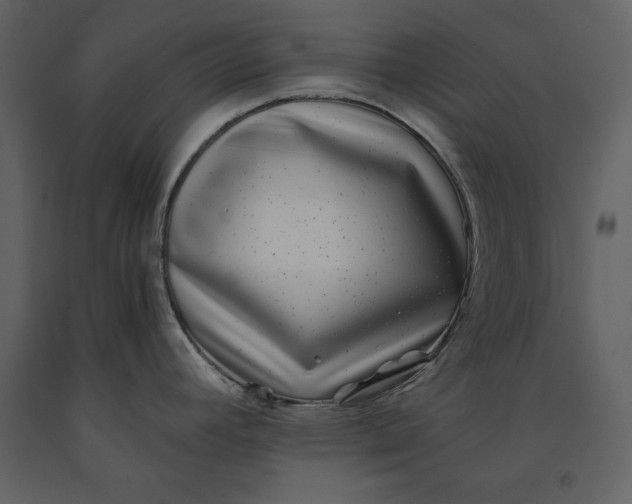 X0000091221392200708231620