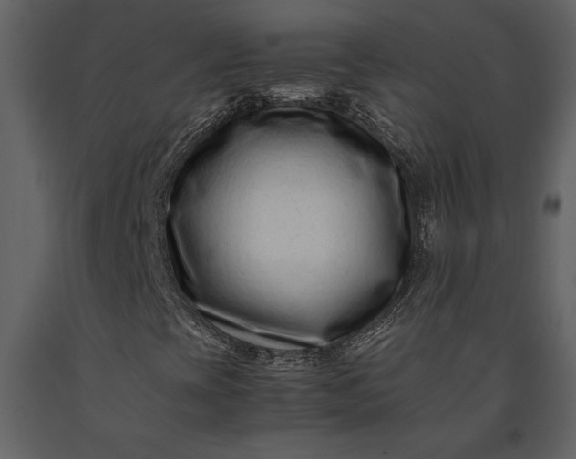 X0000091221393200708231620