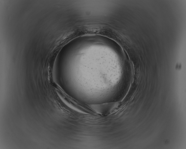 X0000091221394200708231620