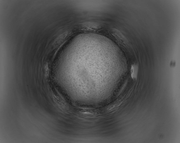 X0000091221395200708231620