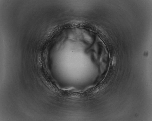 X0000091221396200708231620