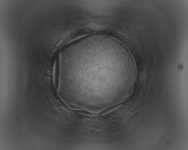 X0000091221397200708231620