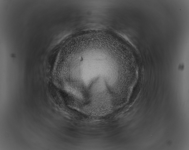 X0000091221399200708231620