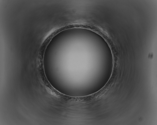 X0000091221400200708231620