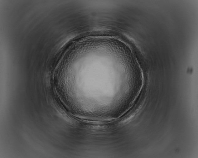 X0000091221401200708231620