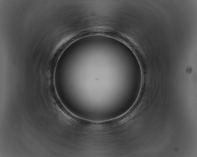 X0000091221402200708231620