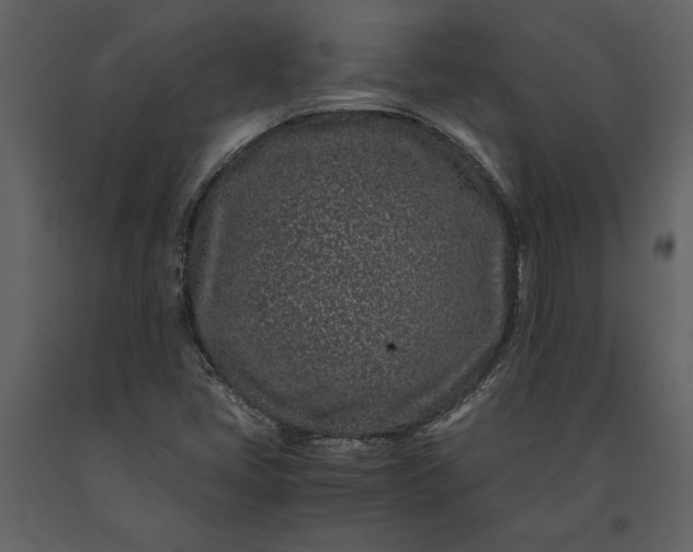 X0000091221405200708231620