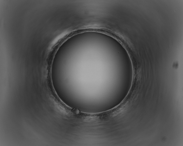 X0000091221406200708231620