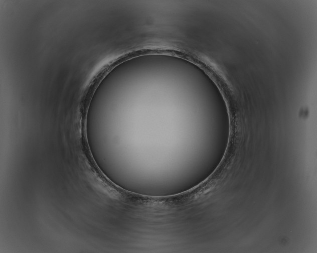 X0000091221408200708231620