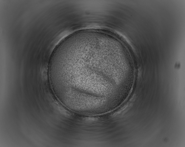 X0000091221409200708231620