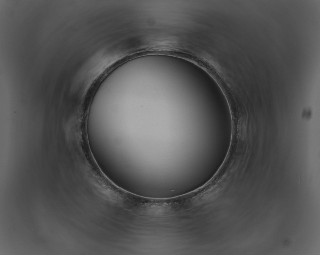 X0000091221410200708231620