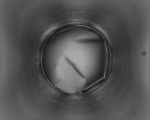 X0000091221411200708231620