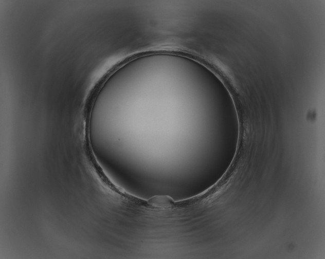 X0000091221414200708231620