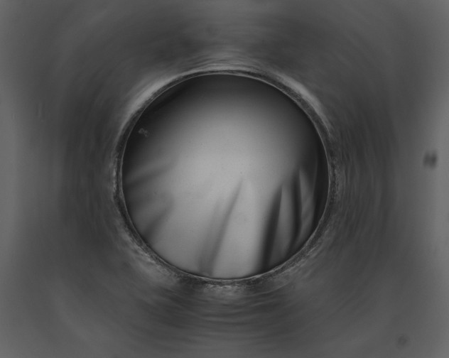 X0000091221415200708231620