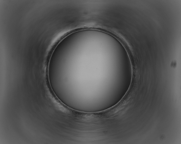 X0000091221416200708231620