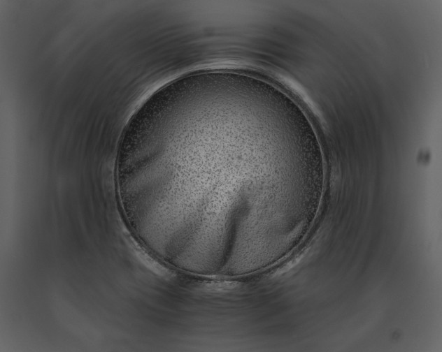 X0000091221417200708231620