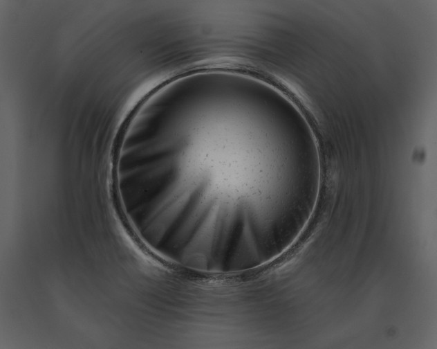 X0000091221418200708231620