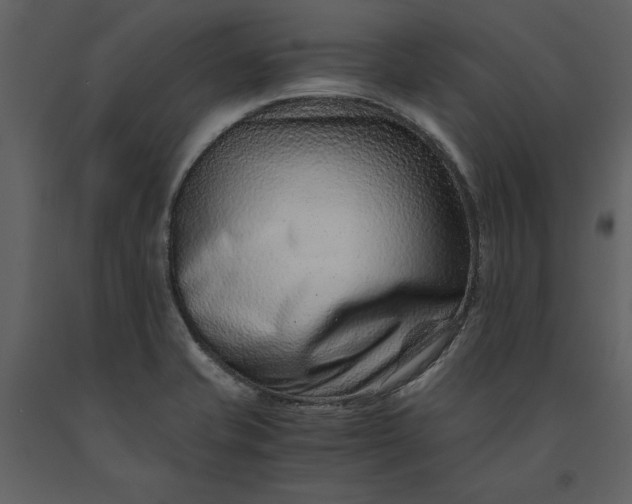 X0000091221421200708231620