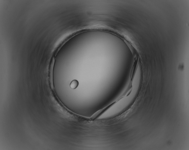 X0000091221422200708231620