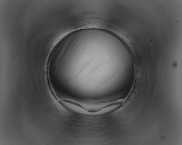 X0000091221423200708231620