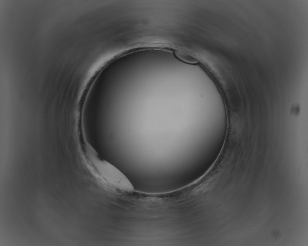 X0000091221424200708231620