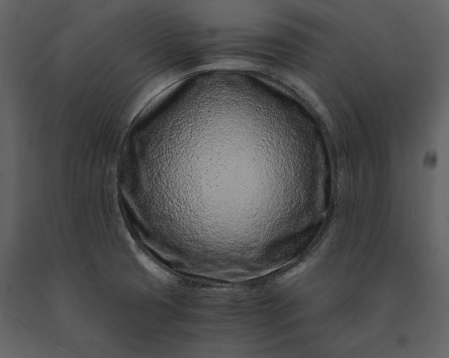 X0000091221425200708231620