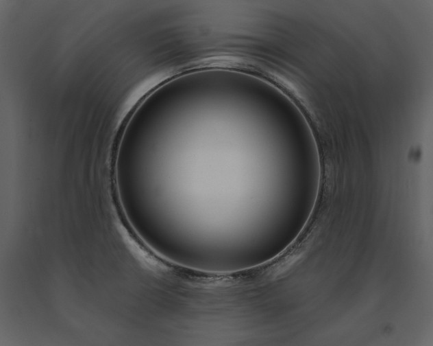 X0000091221426200708231620