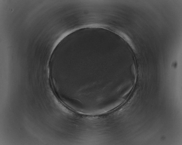 X0000091221428200708231620