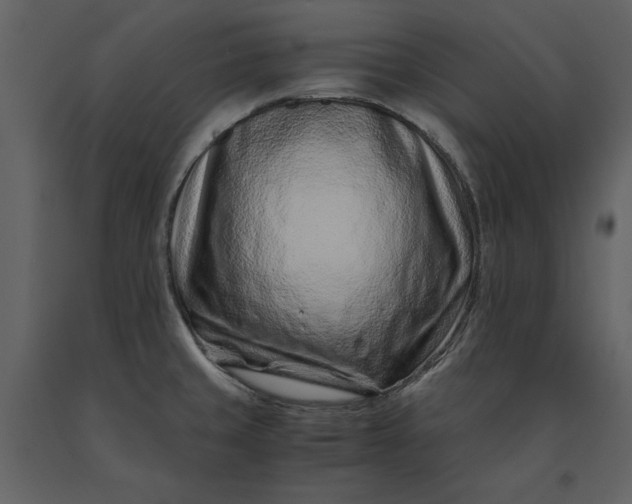 X0000091221429200708231620