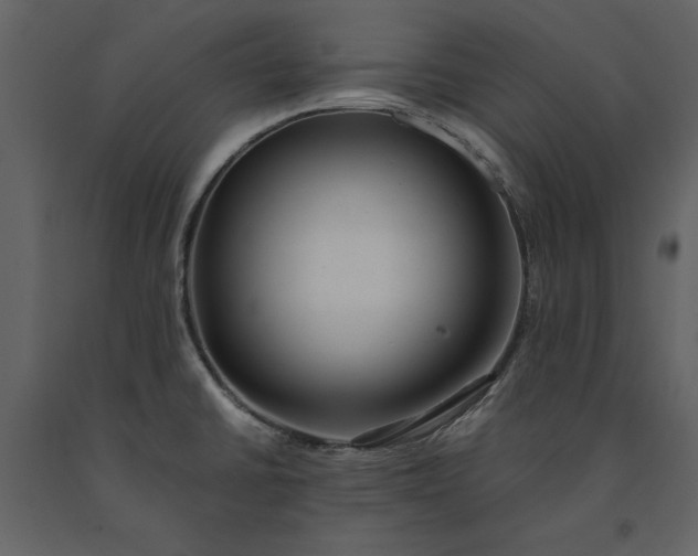 X0000091221430200708231620