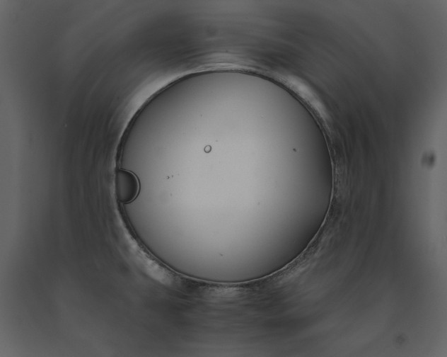 X0000091221431200708231620