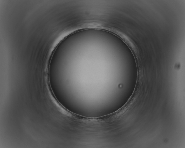 X0000091221432200708231620